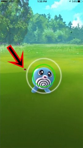 Mẹo bắt Pokemon trong Pokemon Go 
