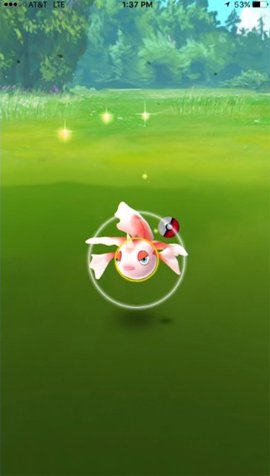 Mẹo bắt Pokemon trong Pokemon Go 