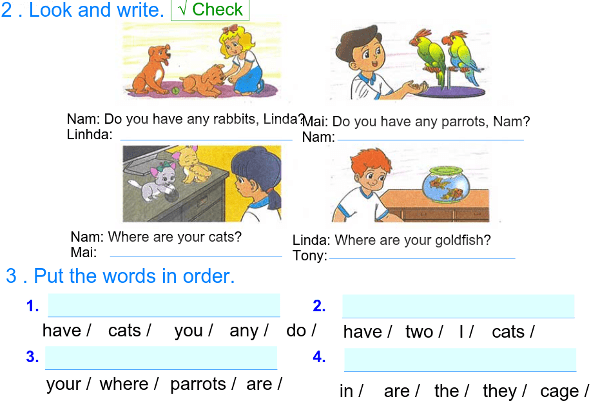 Đề thi học kì 2 lớp 3 Bài kiểm tra trắc nghiệm Tiếng Anh lớp 3