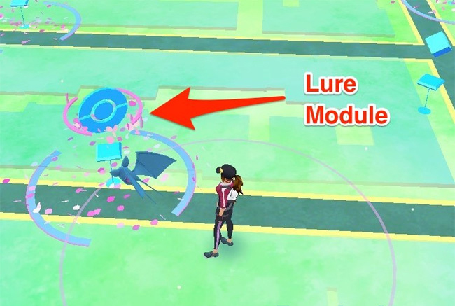 Mẹo chơi Pokemon Go cho người ngại di chuyển