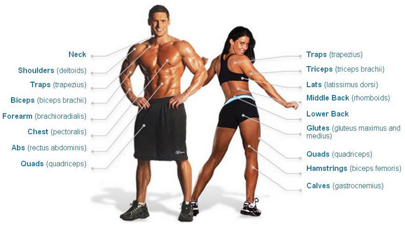 Từ vựng tiếng Anh về thể hình và tập gym