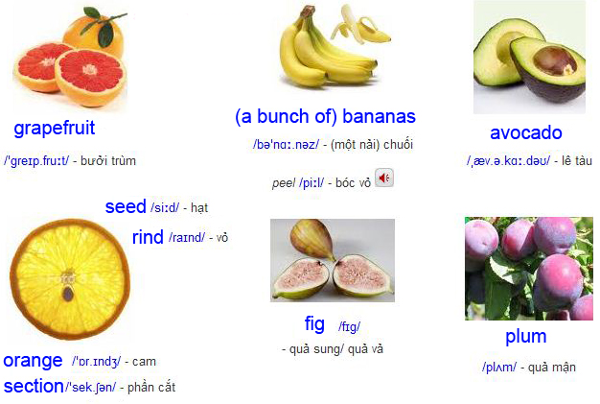 Cùng học các từ vựng Tiếng Anh về các loại quả 