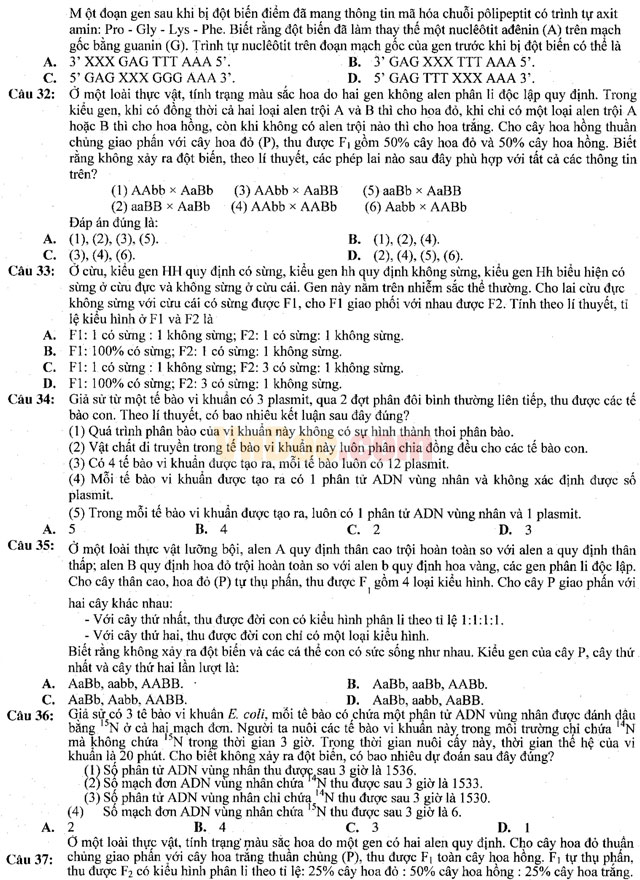 Đề thi khảo sát chất lượng đầu năm môn Sinh học có đáp án