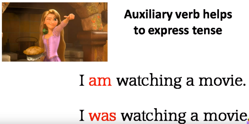 Trợ động từ trong tiếng Anh