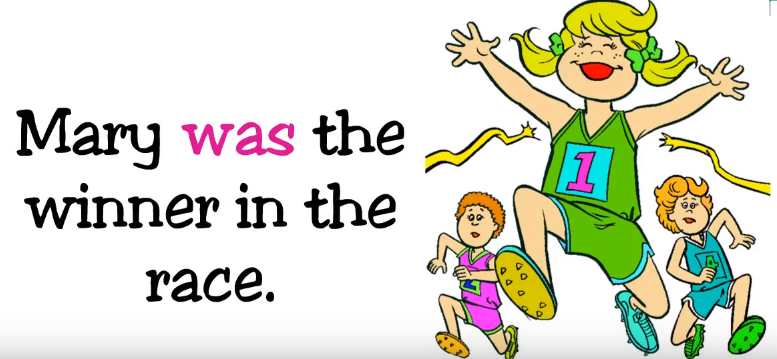 Trợ động từ trong tiếng Anh