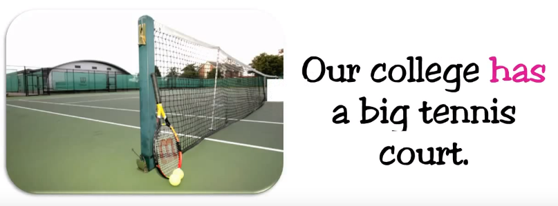 Trợ động từ trong tiếng Anh