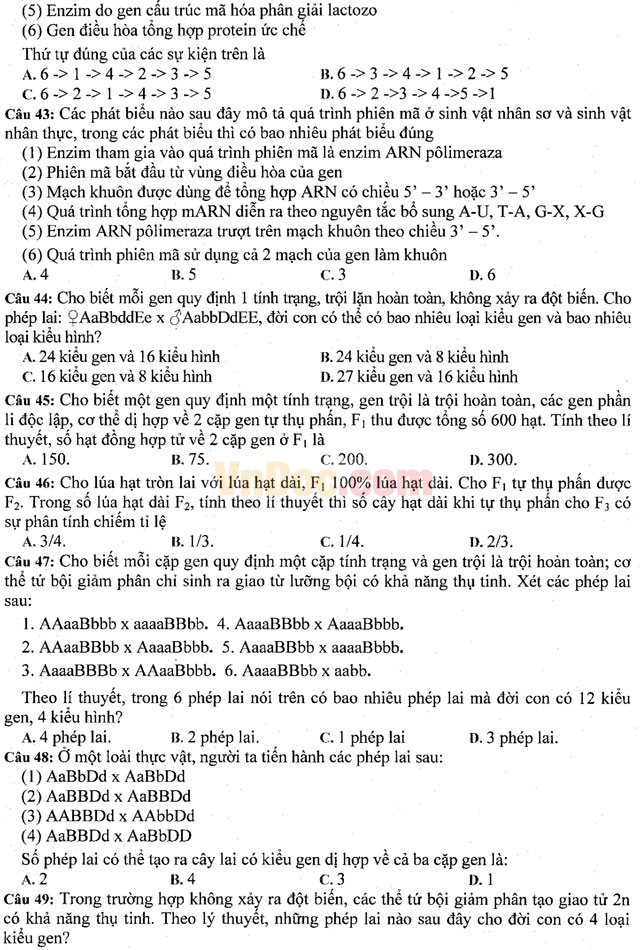 Đề thi khảo sát chất lượng đầu năm môn Sinh học lớp 11 có đáp án