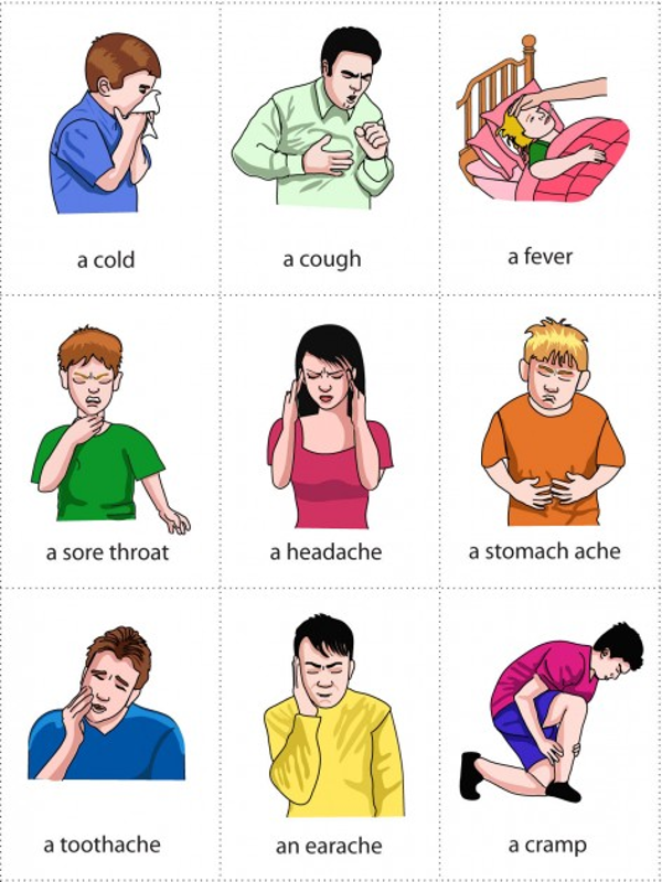 Flashcards for Kids: Health