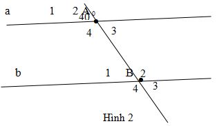 Đề thi khảo sát chất lượng đầu năm môn Toán lớp 7 có đáp án