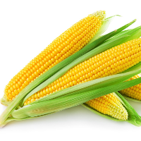 Bé học Tiếng Anh qua truyện: Corn for people and animals