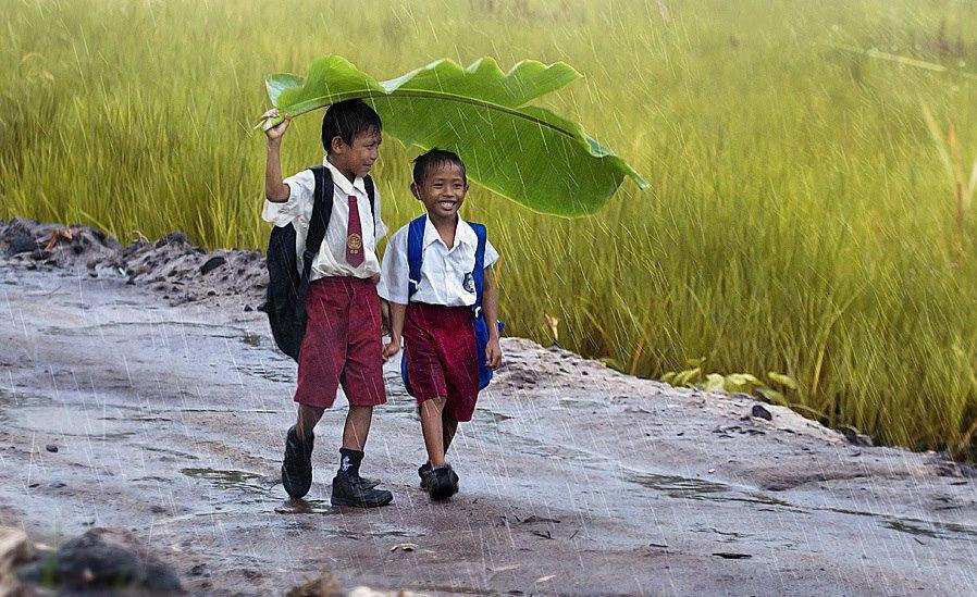 Câu chuyện ý nghĩa về tình bạn 