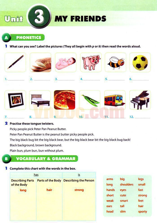 Bài tập tự luận Tiếng Anh lớp 6 Unit 3