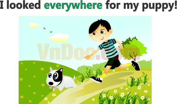  Trạng từ chỉ nơi chốn (Place)