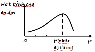 Đề thi học kì 1 môn Sinh học lớp 10