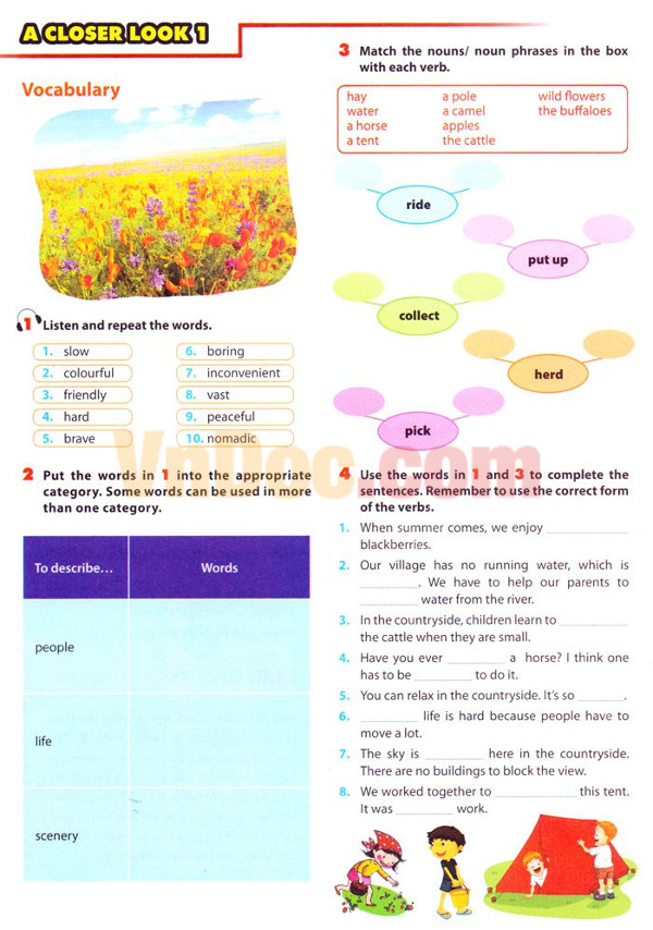 Bài tập tự luận Tiếng Anh lớp 8