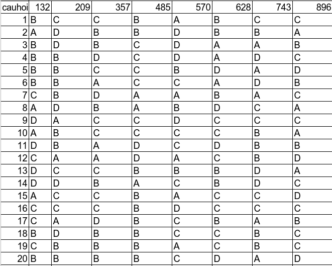 Đáp án Đề thi giữa học kì 1 môn Tiếng Anh lớp 10