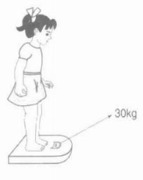 Giải bài tập trang 86, 87 SGK Toán 2