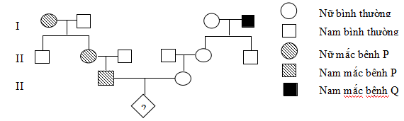 Đề thi hsg cấp tỉnh môn Sinh học lớp 12