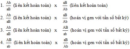 Đề thi thử THPT Quốc gia năm 2017 môn Sinh học có đáp án
