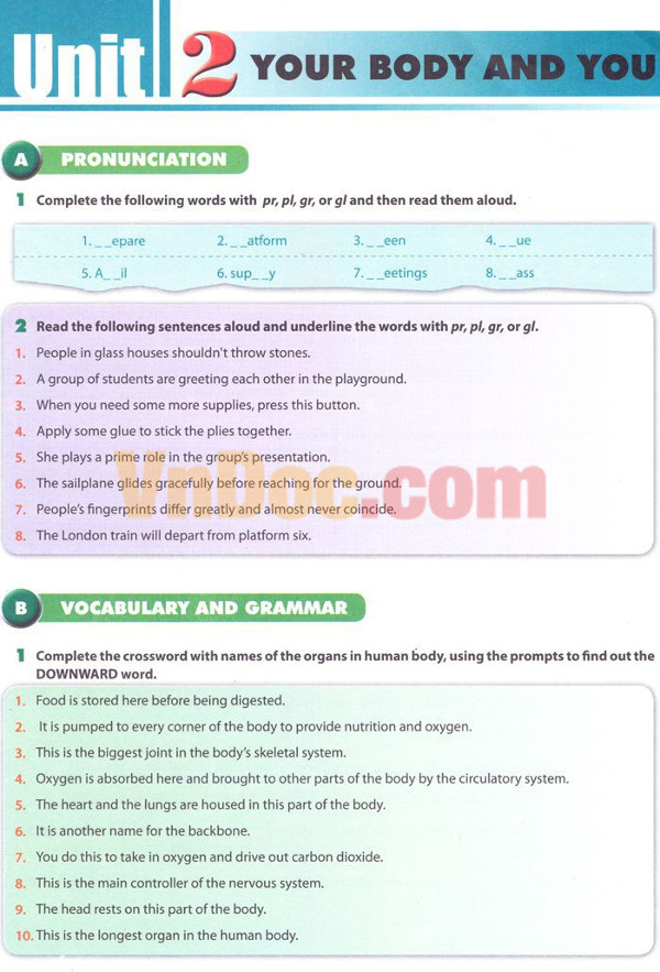Tiếng Anh lớp 10 Chương trình mới Unit 2: YOUR BODY & YOU