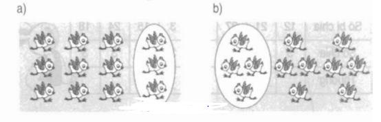 Giải bài tập trang 113, 114 SGK Toán 2
