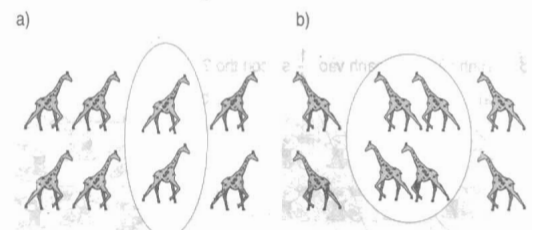 Giải bài tập trang 120 SGK Toán 2