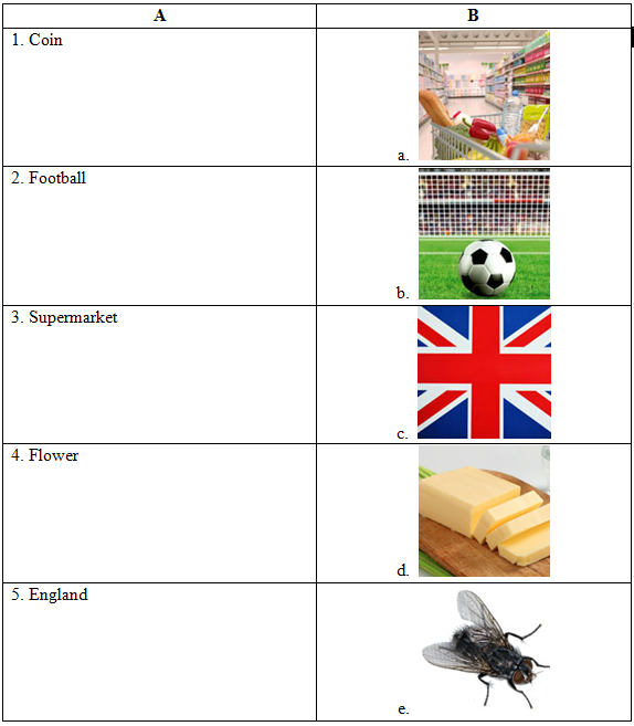 Đề thi Olympic Tiếng Anh lớp 5 vòng 1