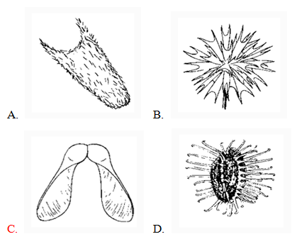 Đề thi Olympic Tiếng Anh lớp 8 vòng 3