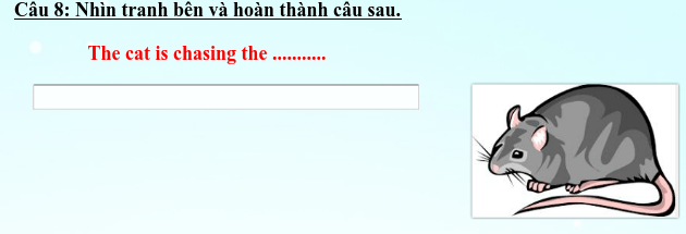 Đề thi học kì 1 môn Tiếng Anh lớp 1