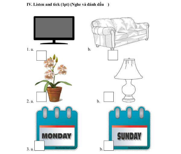 Tổng hợp đề thi Violympic Toán Tiếng Anh lớp 2