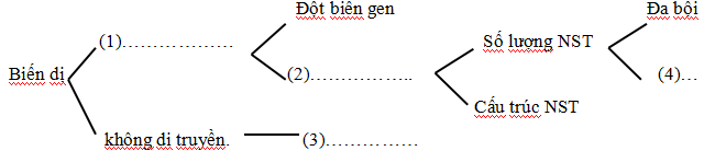 Đề thi hk1 môn Sinh học lớp 9