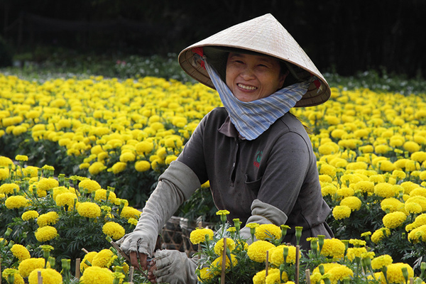 Bài văn mẫu lớp 8 số 5