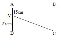 Các bài Toán về diện tích hình tam giác lớp 5