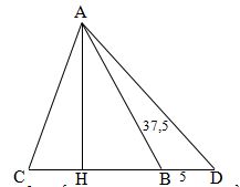 Các bài Toán về diện tích hình tam giác lớp 5