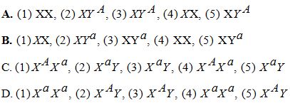Đề thi thử THPT Quốc gia năm 2017 môn Sinh học 