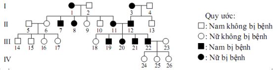 21 bài tập về di truyền