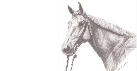 Bài tập Toán rèn luyện trí thông minh có đáp án Bài tập Toán rèn luyện trí thông minh