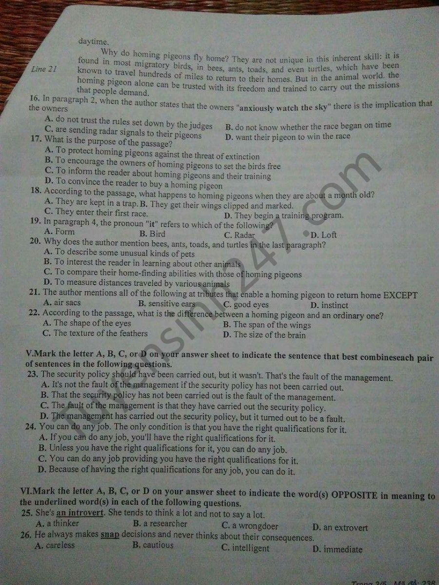 Tài liệu bồi dưỡng luyện thi THPT quốc gia môn: Tiếng Anh