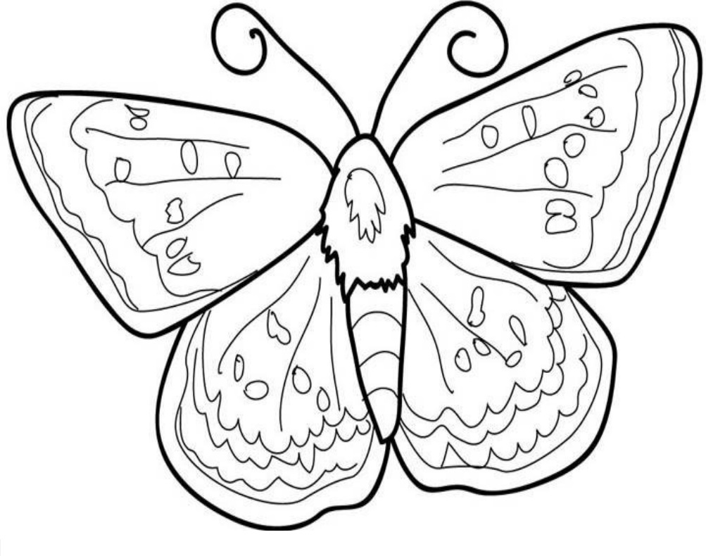 Tranh tô màu bướm và hoa - betapto.com