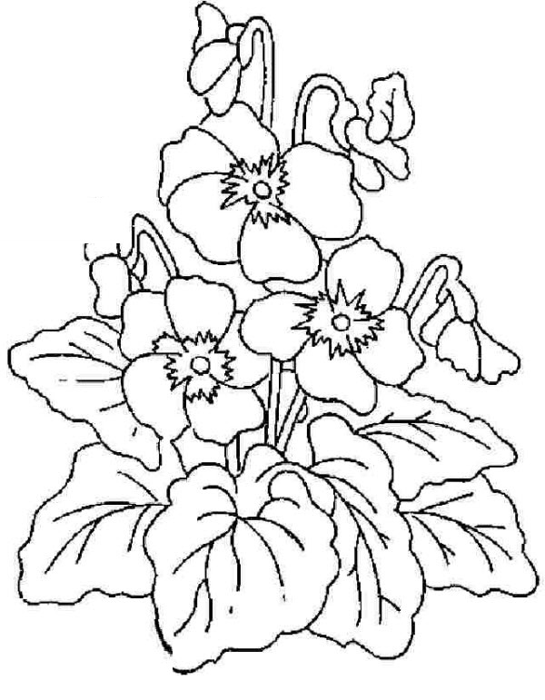 Tranh tô màu bông hoa dành cho bé học mẫu giáo Tranh tô màu bông hoa dành cho bé học mẫu giáo