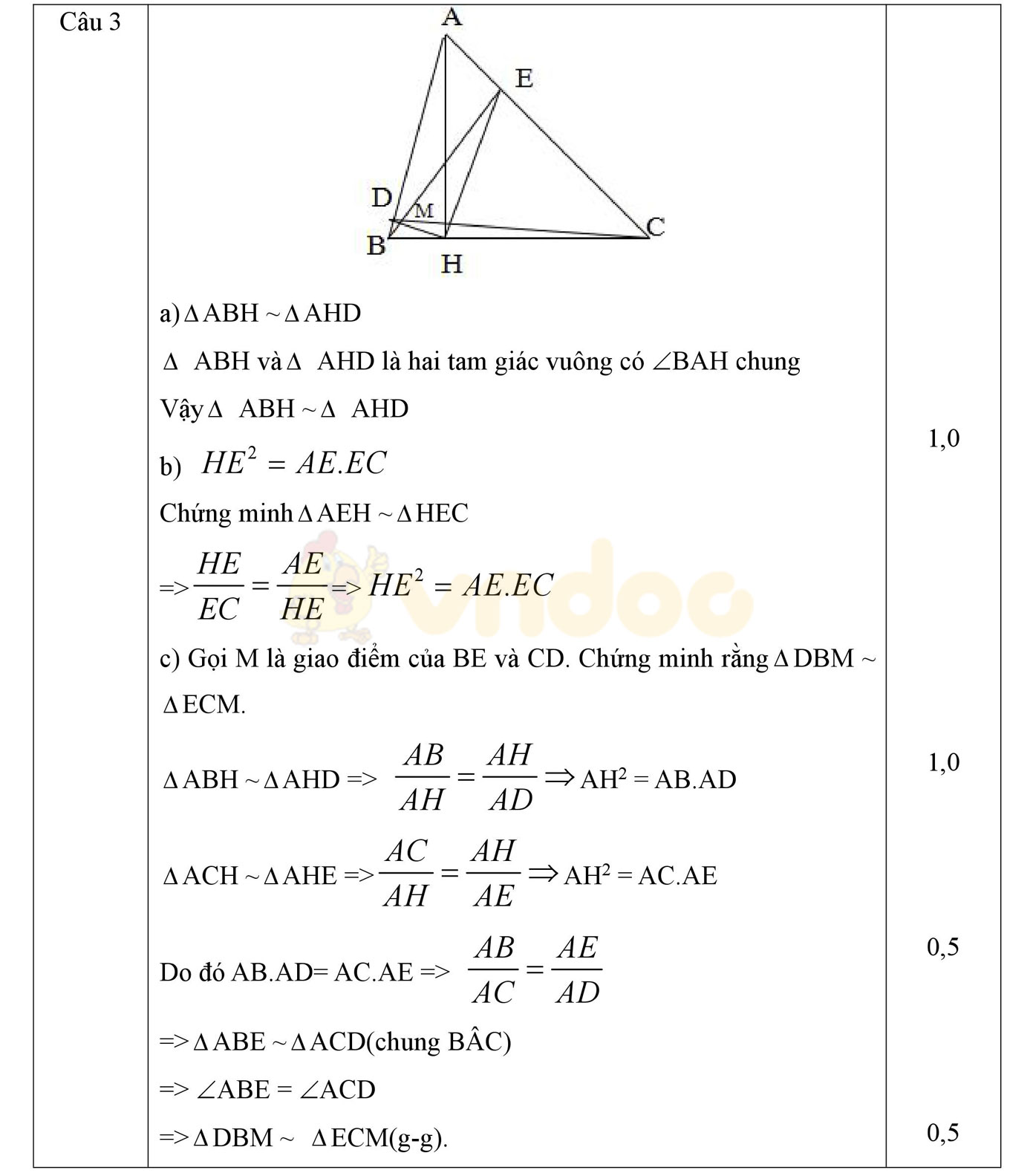 Đáp án đề thi học kì 2 môn Toán lớp 8