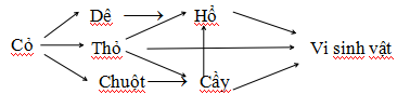 Đáp án đề thi học kì 2 môn Sinh học lớp 9