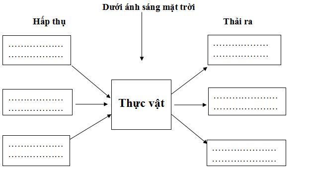Đề thi học kì 2 môn Khoa học lớp 4