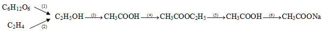 Đề thi học kì 2 lớp 9 môn Hóa học