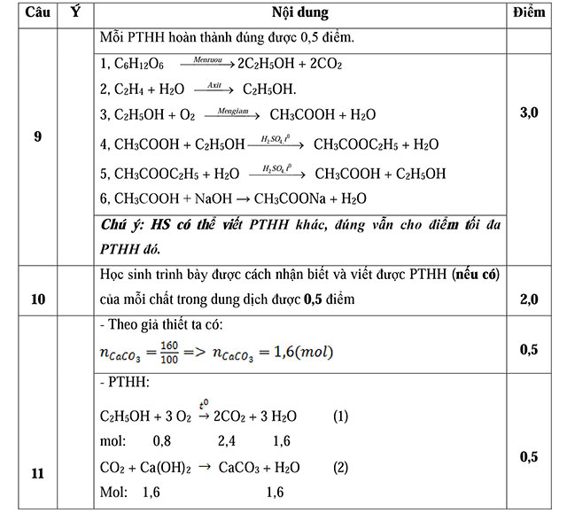 Đáp án đề thi học kì 2 môn Hóa học lớp 9