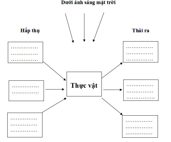 Đề thi học kì 2 môn Khoa học lớp 4