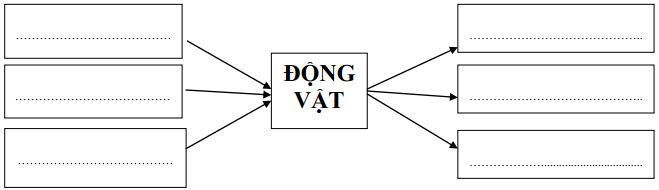 Đề thi học kì 2 môn Khoa học lớp 4 có đáp án