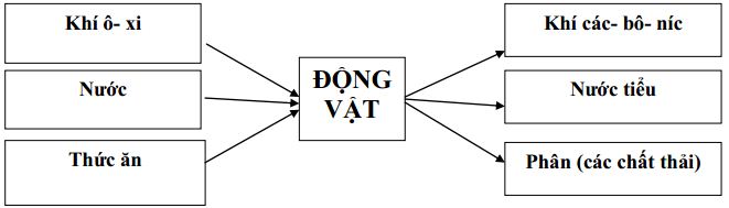 Đề thi học kì 2 môn Khoa học lớp 4 có đáp án