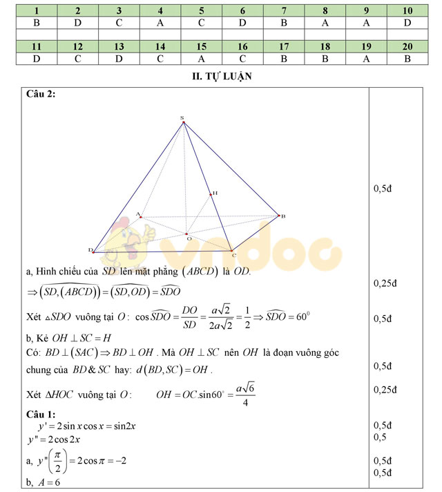 Đáp án đề thi học kì 2 lớp 11 môn Toán