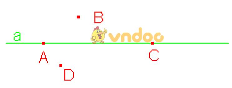Môn hình học lớp 6
